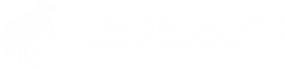 Lemon Juice Technologies LLC
